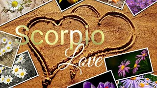 Scorpio Plot Twist! The Universe is Playing Match Maker - LOVE - July 2021