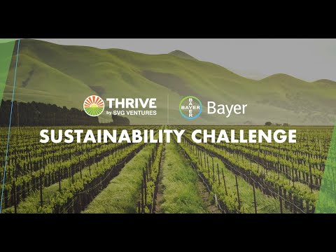 THRIVE | Bayer Sustainability Challenge - video from THRIVE Agrifood