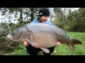 Roderick Langaveld's French Carp