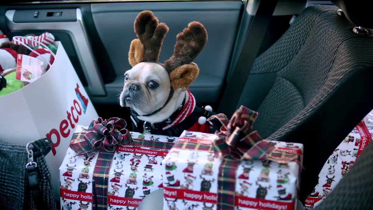 PETCO forgot something