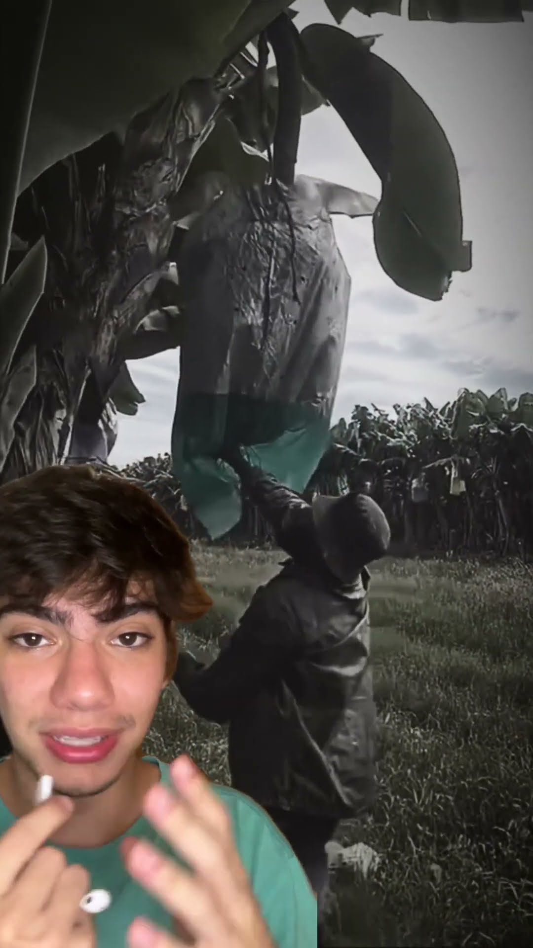 Esse cara colheu a banana sozinho e chocou o patrão! ?? Será que rolou um aumento? ?
