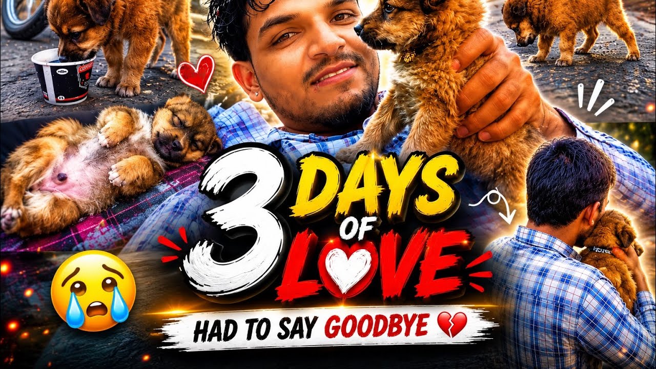 🏆 I Spent 3 Days With A Puppy 🐶❤️ | Emotional Goodbye @souravjvlogs @MrBeast 