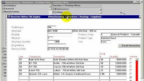 DYNAMIC 3i Free Edition ERP tutorials - structure history inquiry