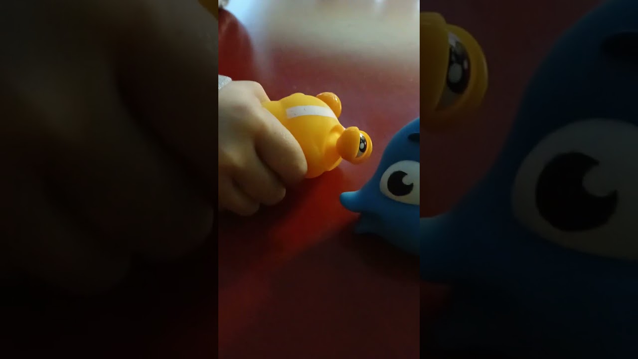 Ένα ψάρι και σκυλος