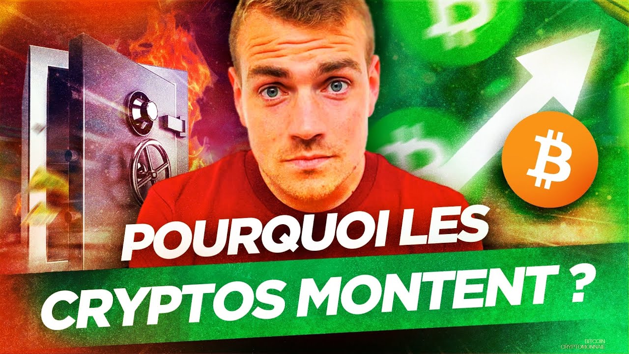 Hausse des Cryptos : pourquoi ? Que se passe-t-il ?