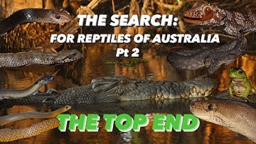 THE SEARCH: FOR REPTILES OF AUSTRALIA PT 2 (THE TOP END)