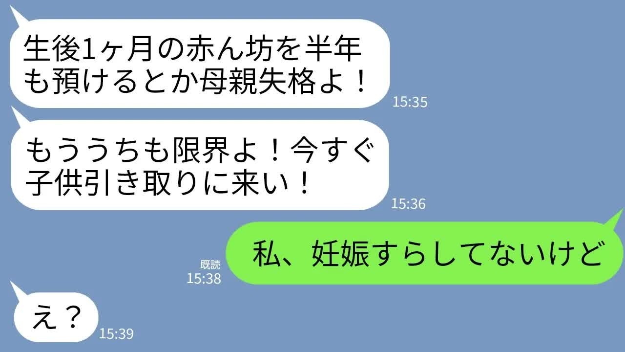 【LINE】義姉から怒りの連絡「生後1ヶ月の赤ん坊を半年も預けるな！今すぐ引き取りに来い！」私「まだ妊娠もしてませんが」→とんでもない勘違いが発覚し衝撃の展開に…w