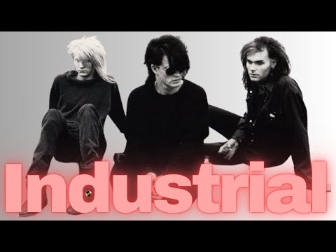 INDUSTRIAL MUSIC FOR INDUSTRIAL PEOPLE!… a2208678142_10.jpg