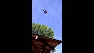 F 35 fly bys