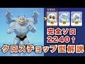 クロスチョップ型カイリキー解説