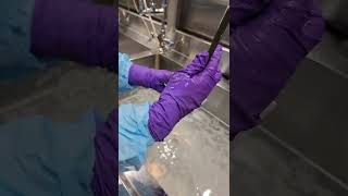 Ion Catheter Guide hand wash
