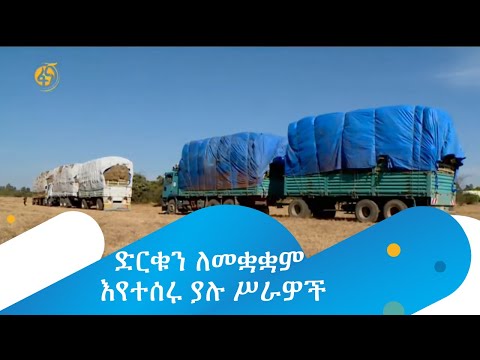 ድርቁን ለመቋቋም እየተሰሩ ያሉ ሥራዎች