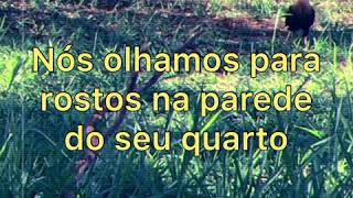 Vance Joy - Wasted Time(Tradução/legendado PT | BR)