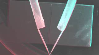 Microgripper Rotation imaged in 3D