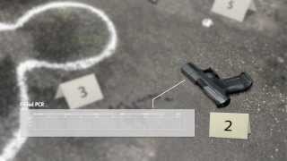 Get more insight into the STR analysis of your forensic DNA samples