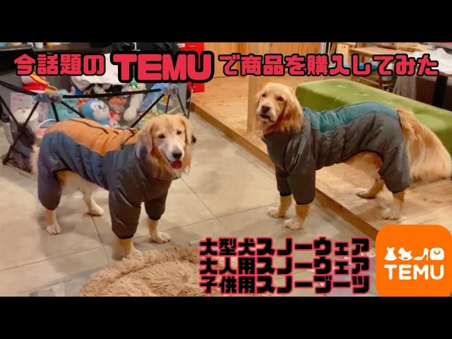 Autumn-winter23 SNOW DOG GUARD®︎ - YouTube