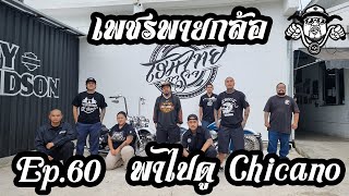 เพชรพายกล้อ Ep.60 พาดู Chicano