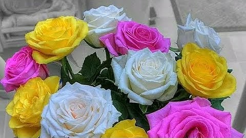 سورة الأعراف (ص - ١٦٣) الشيخ محمود علي البنا رحمه الله تعالى ...