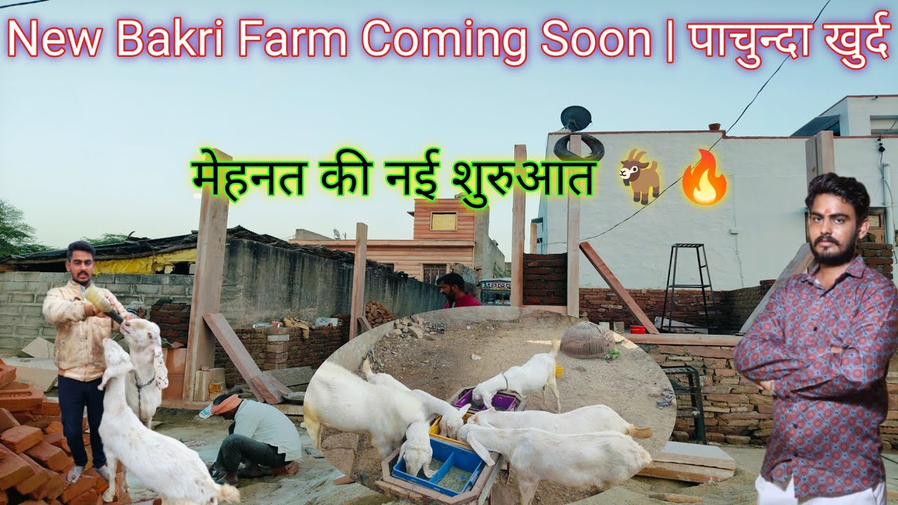 पाचुंडा खुर्द में नया बकरी फार्म शुरू | मेहनत की नई शुरुआत 🐐🔥