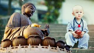 PHÁP SƯ Tý Hon Câu Chuyện Cảm Động Rơi Nước Mắt | Truyện PHẬT GIÁO Có Thật - Pháp Phục Diệu Tâm
