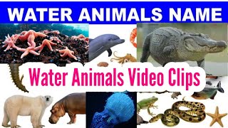 Water Animals जल म रहन वल जतओ क नम जलय जत समदर जवAnimals Names English To Hindi