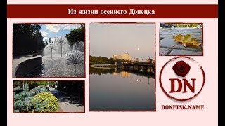 Из жизни осеннего Донецка