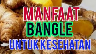 Tips Sehat Inilah Manfaat Bangle Untuk kesehatan Tubuh