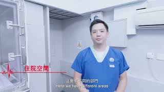 Pets Central西貢醫院 | Pets Central Sai Kung |  擁有全方位為寵物而設嘅裝置及設備 by Pets Central 36 views 7 months ago 3 minutes