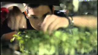 ANTV 0105 Diplomat Mild 00;54