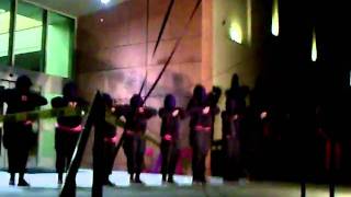 Florida Gulf Coast Univeristy Founding Line of Sigma Lambda Gamma National Sorority, Inc. Part 9