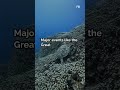 Did You Know Earth Is About 4.5 Billion Years Old? Fascinating Facts I