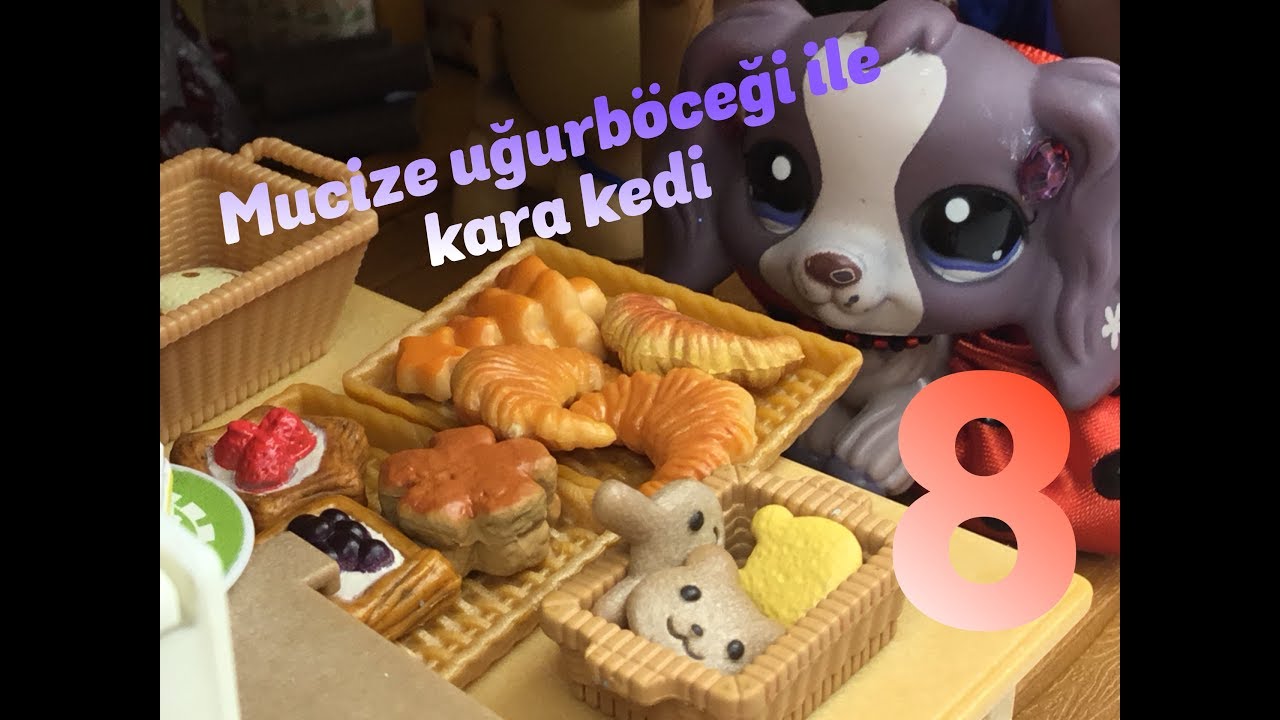 Mucize UğurBöceği İle Kara Kedi KİMLİKLER Bölüm 8 YouTube