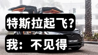 160期：特斯拉TSLA起飞了？我：不见得。