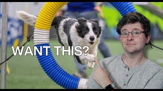 From Stress to Success: Building Confidence in the Agility Ring