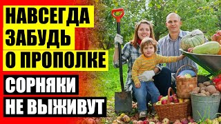 😎 НАРОДНОЕ СРЕДСТВО ОТ СОРНЯКОВ НА ОГОРОДЕ ❌ БЕЗ СОРНЯКОВ ⛔