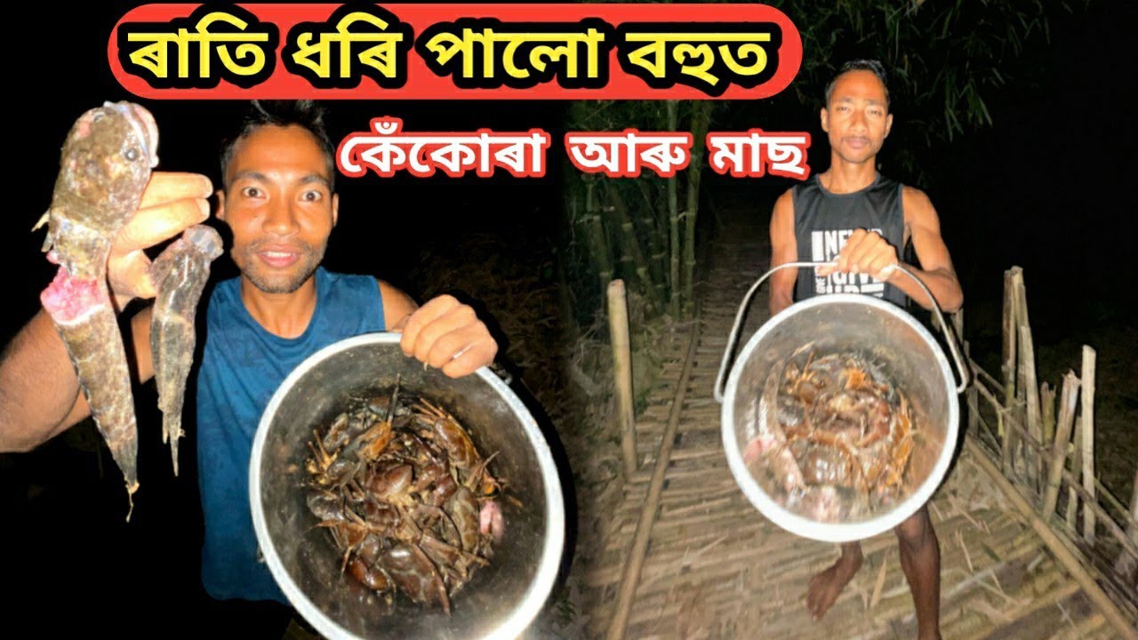 ৰাতি ধৰি পালো বহুত কেঁকোৰা আৰু মাছ !!