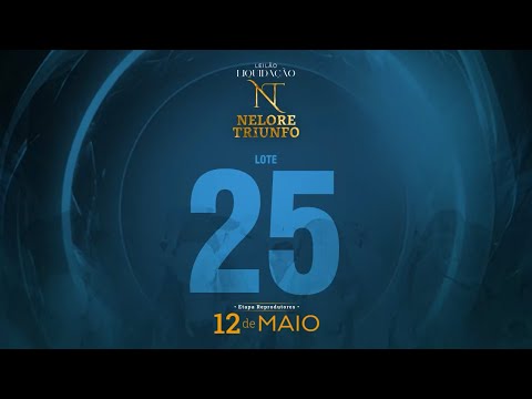 LOTE 25 - MACF 619