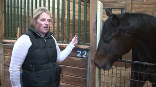 Preview: Oklahoma Futurity - Cocoa Creme, Hiclass Vodka