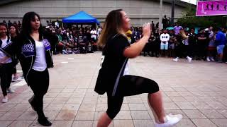 UIC aKDPhi Meet the Greeks Fall 2017