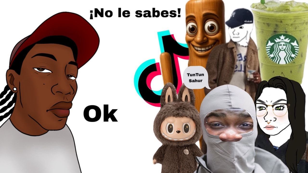 Top 5 Modas Mas M*ERDAS