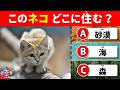 【全35問】どこに住んでいる?生き物の生息地クイズ|砂漠・海・森から選ぼう!