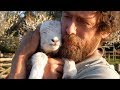 Humans hugging other animals