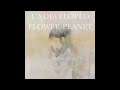 Orangestar - UNDEVELOPED FLOWER-PLANET - YouTube