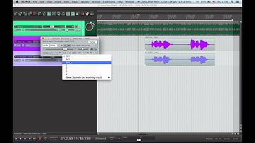 Vocalign in Reaper AU Plugin