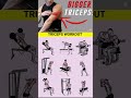 Triceps Blast 💪 | 9 Powerful Tricep Exercises for Big Arms