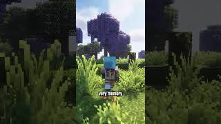 Improve your Minecraft FPS with this performance guide! #Minecraft #mods #minecraft #gaming
