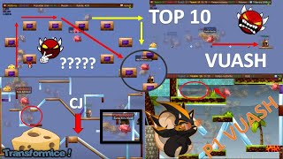 TOP 10 VUASH TRANSFORMICE