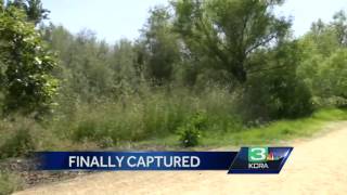 Family remembers victim after former Cal Fire Chief arrested