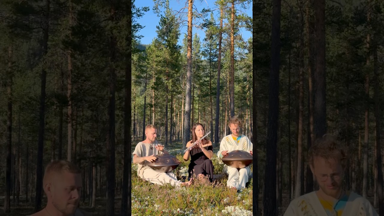 Handpan music | Flute music