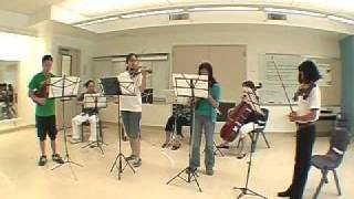 Concerto For 4 Violins, Maui Summer Music Festival